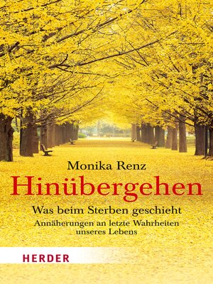 cover image of Hinübergehen